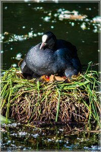 comp_Kaisergarten-9834 (Large).jpg