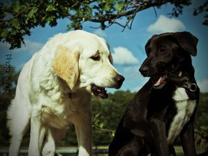 500-was sagst du.jpg