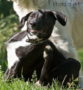 500-Anouk Grimasse2.jpg