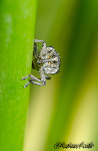 D7K_6120.jpg D7K_6120.jpg