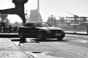 DSC_0017_copy B&W_copy.jpg