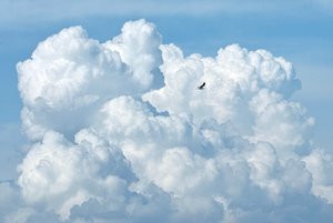 gaSDIM1455 Kopie.jpg