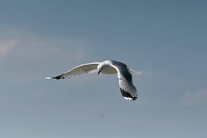 gaSDIM1387 Kopie.jpg