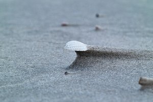 gaSDIM1208 Kopie.jpg