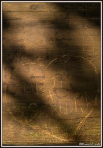 SAM_2874_bearbeitet-1.JPG SAM_2874_bearbeitet-1.JPG