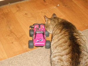 DSCN0748.JPG DSCN0748.JPG