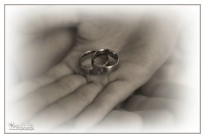 comp__DSC2928 -1.jpg