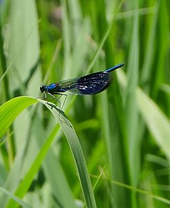 DSC05009 test1 neu.jpg