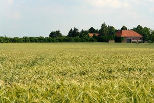 into the field2.jpg into the field2.jpg