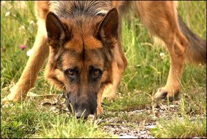 comp__DSC3398 -1.jpg