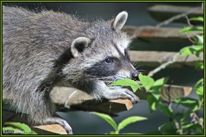 Sample 58.jpg Sample 58.jpg