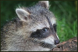 Sample 59.jpg Sample 59.jpg