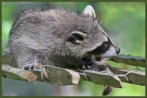 Sample 62.jpg Sample 62.jpg