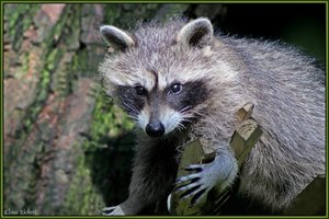 Sample 63.jpg Sample 63.jpg