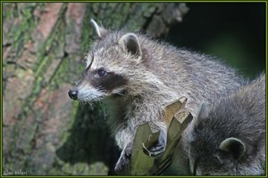 Sample 64.jpg Sample 64.jpg