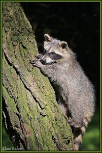 Sample 65.jpg Sample 65.jpg