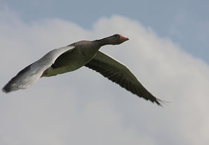 IMG_5770.jpg IMG_5770.jpg