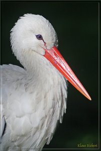 Sample 72.jpg Sample 72.jpg