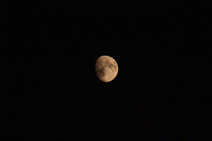 Mond klein am hellsten.jpg