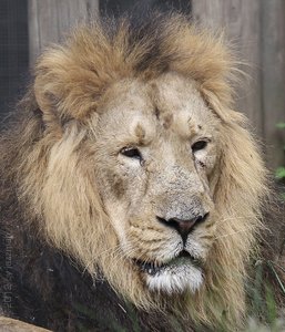 jm_IMG_3520_web.jpg jm_IMG_3520_web.jpg