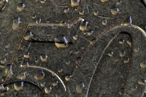 DSC_0014.JPG DSC_0014.JPG