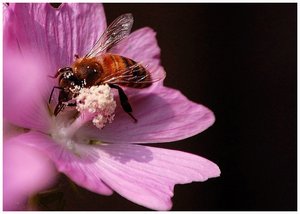 drittes Mal konvertiertdrittes Mal 1.jpg