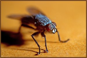 Sample 21.jpg Sample 21.jpg