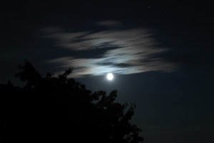 SAM_0440.jpg SAM_0440.jpg