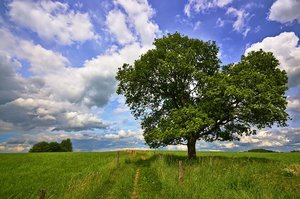 DSC_6122_ji_s.jpg DSC_6122_ji_s.jpg