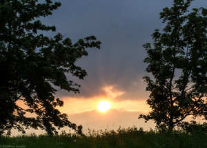Regensburg Sonne Klein.jpg