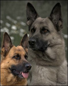 comp__DSC2282 -1.jpg