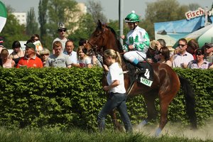 comp__MG_5334.jpg comp__MG_5334.jpg