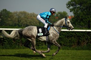 comp__G0N8820.jpg comp__G0N8820.jpg