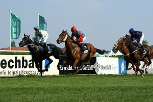 comp__G0N8899.jpg comp__G0N8899.jpg