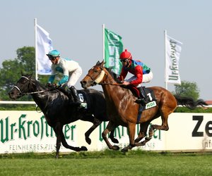 comp__G0N8902.jpg comp__G0N8902.jpg