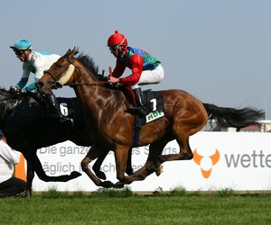 comp__G0N8905.jpg comp__G0N8905.jpg