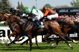 comp__G0N8683.jpg comp__G0N8683.jpg