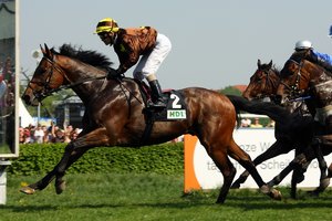 comp__G0N8749.jpg comp__G0N8749.jpg