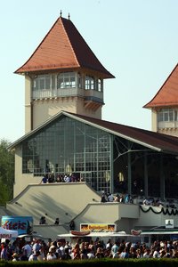 comp__G0N9022.jpg comp__G0N9022.jpg