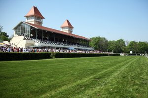 comp__MG_5285.jpg comp__MG_5285.jpg