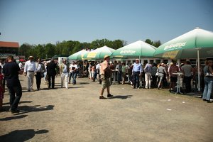 comp__MG_5195.jpg comp__MG_5195.jpg