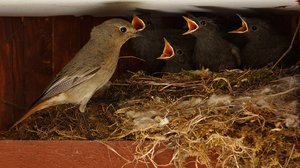 Seit ihr immer noch nicht satt-1.jpg