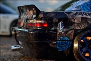 DSC_3318a.jpg DSC_3318a.jpg