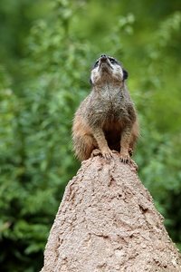 comp_BBBU7548.jpg comp_BBBU7548.jpg