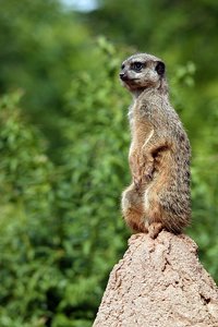 comp_BBBU7551.jpg comp_BBBU7551.jpg