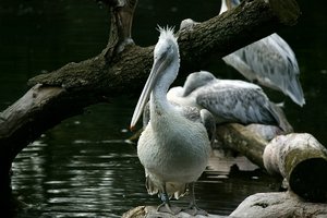 comp_BBBU7574.jpg comp_BBBU7574.jpg