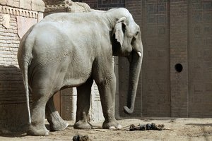 comp_BBBU7586.jpg comp_BBBU7586.jpg