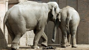 comp_BBBU7590.jpg comp_BBBU7590.jpg