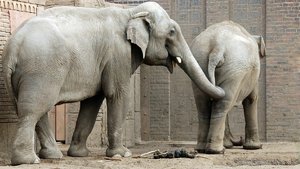 comp_BBBU7596.jpg comp_BBBU7596.jpg