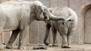 comp_BBBU7597.jpg comp_BBBU7597.jpg